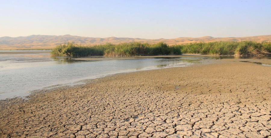 Крехките оазиси на планетата: бъдещето на влажните зони в затоплящия се свят