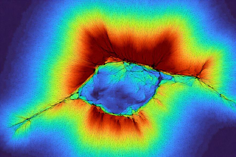 Когато работят заедно, клетките могат да 