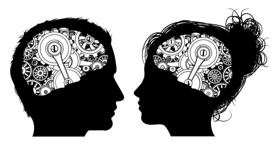 Едно популярно схващане за разликите между мозъка на жените и мъжете е оборено