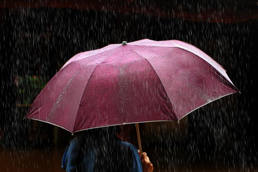 Непознатa в дъжда