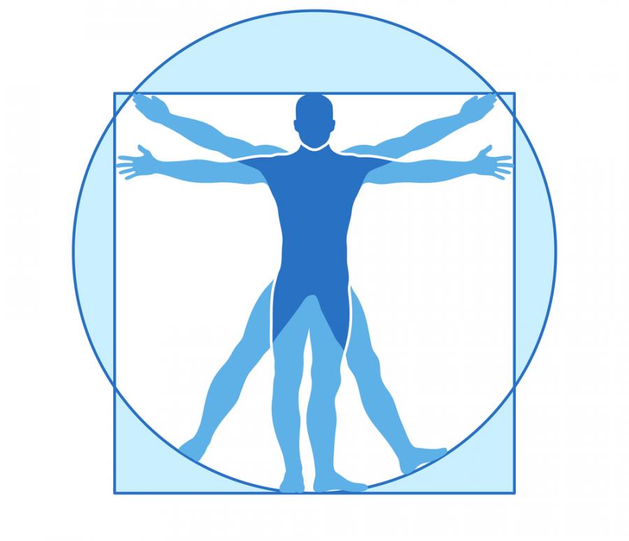 33 невероятни факта за човешкото тяло