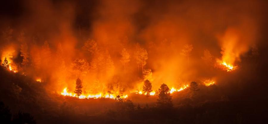 Горски пожар превърна небето над Индонезия в огненочервено