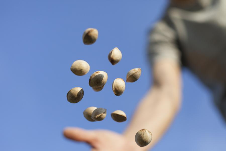 Притча за варените семена