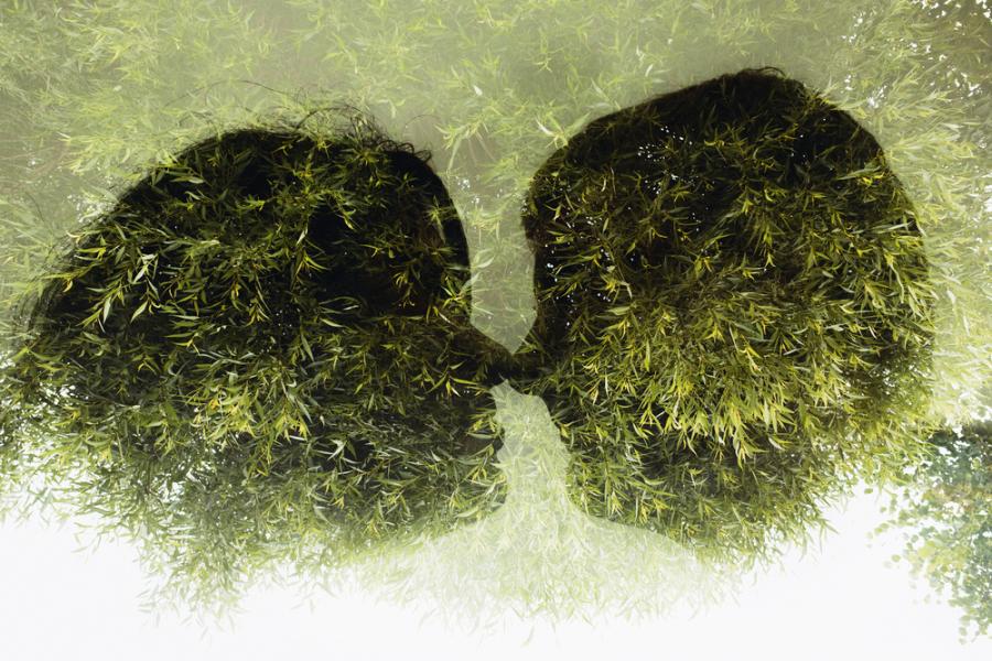 Има 6 типа любов. Кой е вашият?