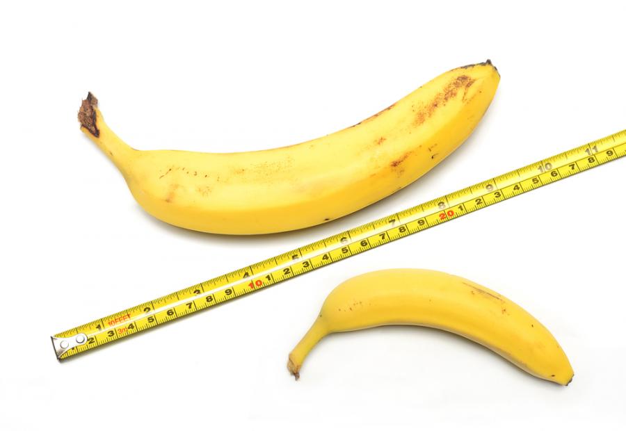 Науката обяснява: От значение ли е размерът на пениса?