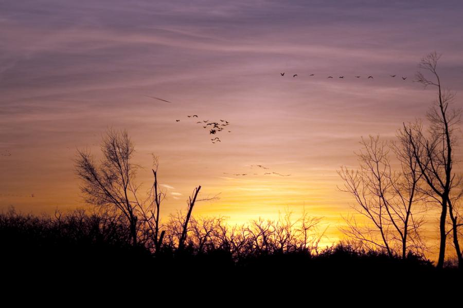 6 знака, че пропилявате живота си