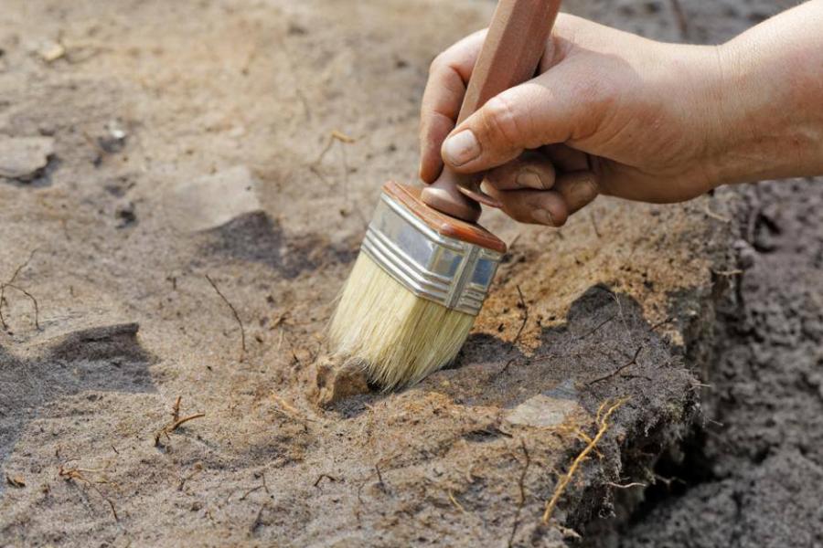 Археолог откри уникален инструмент на хирург в тракийски гроб край Люблен