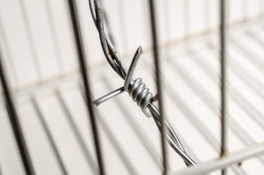  Сюзан Зонтаг за насилието