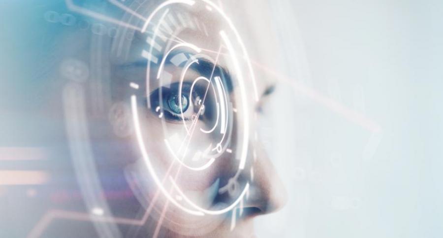 Видео: Светът на забавен каданс