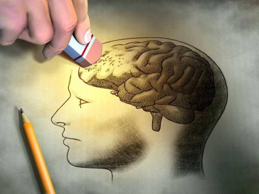 Хигиена за мозъка - 5 начина да запазите интелекта си
