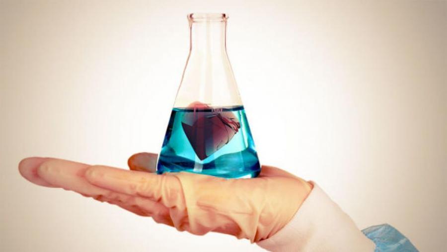 Науката обяснява:  защо раздялата е гадно нещо (и какво можем да направим по въпроса)