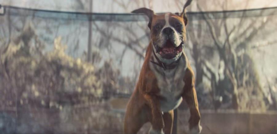 Рекламата, която ще ви зареди с коледен дух