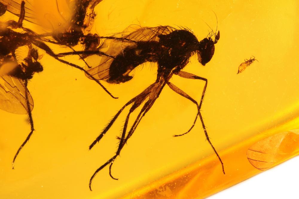 Кърт Вонегът за кехлибара