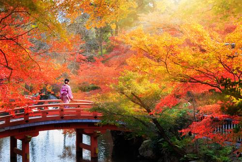 15 причини да посетите Япония и да се насладите на нейната красота
