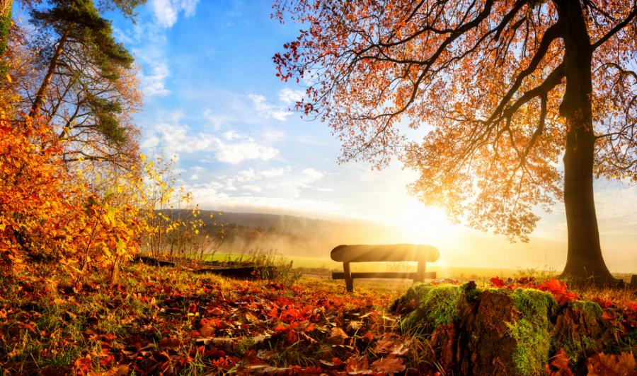 16 поетични цитата, приветстващи идващата есен