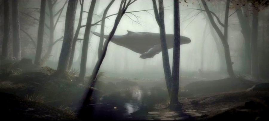 Видео: Ако китовете живееха на сушата