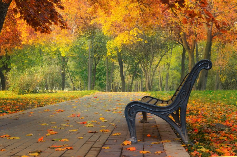 Бекет за живота