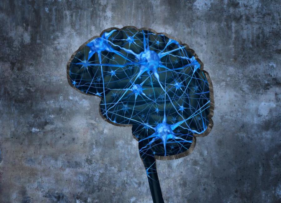 Защо не можем да бъдем логични и емпатични едновременно