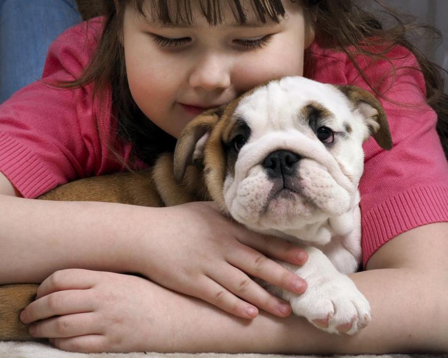 Кучето може да избави детето от страхове