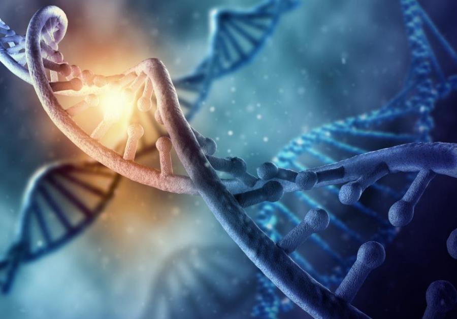 Вашата самоличност може да бъде разкрита посредством ДНК и без да сте си правили ДНК тест