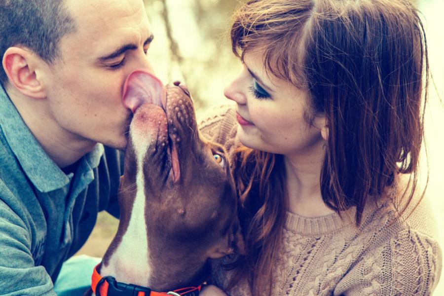 Кучетата подобряват връзките ни по три изненадващи начина