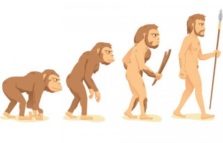 Как ще изглеждат хората след 1000 години