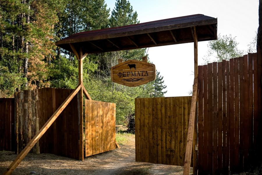 „Фермата“ стартира от нулата