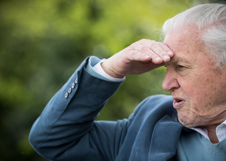 Дейвид Атънбъро: 