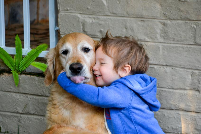 25 трогателни снимки, които доказват, че всеки се нуждае от куче в своя живот