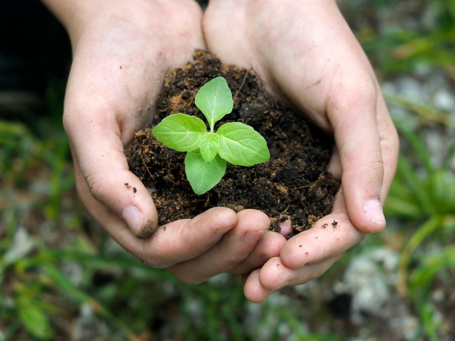 Как да се научиш първо да обичаш себе си