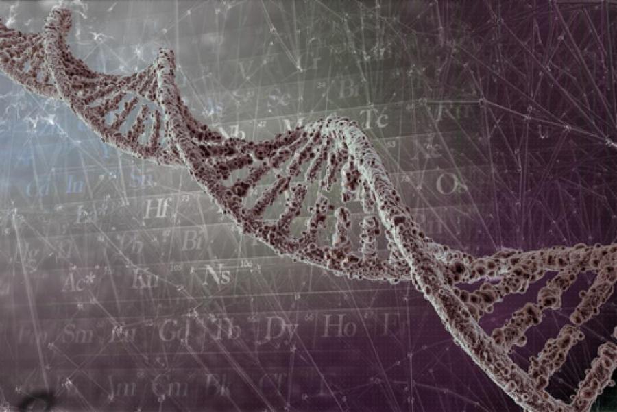 10 гена, които контролират живота ни 
