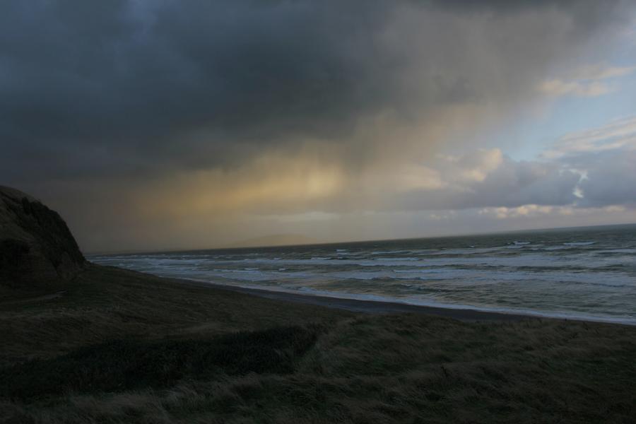  Океанът изхвърли „чудовище“, което подлуди хората в Нова Зеландия
