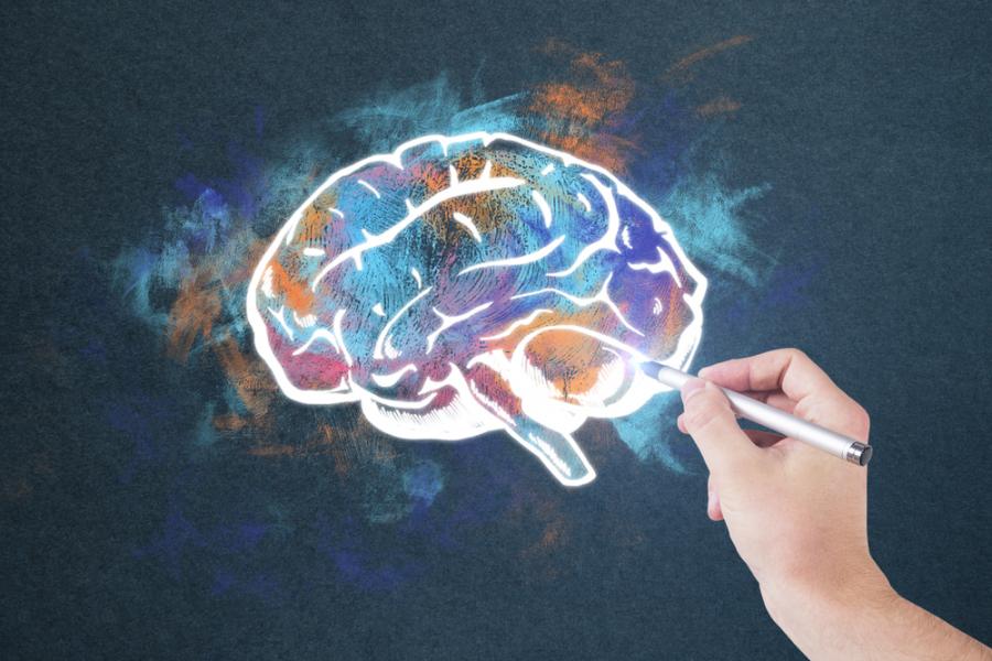 Защо човешкият мозък е толкова специален?