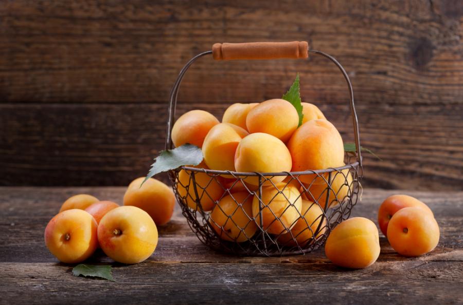 Любопитни факти за кайсиите