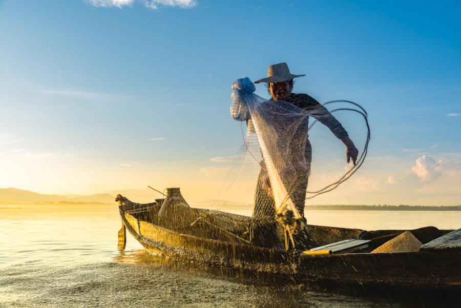 WWF обявява нов изчезващ вид – рибарите