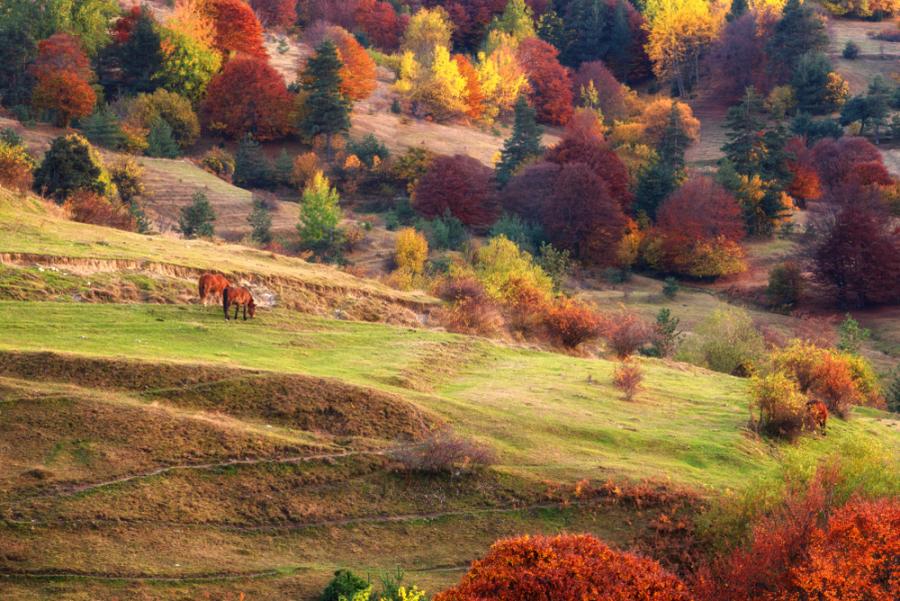15 любопитни факта за есента