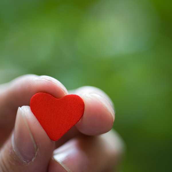 Сродни души по пътя