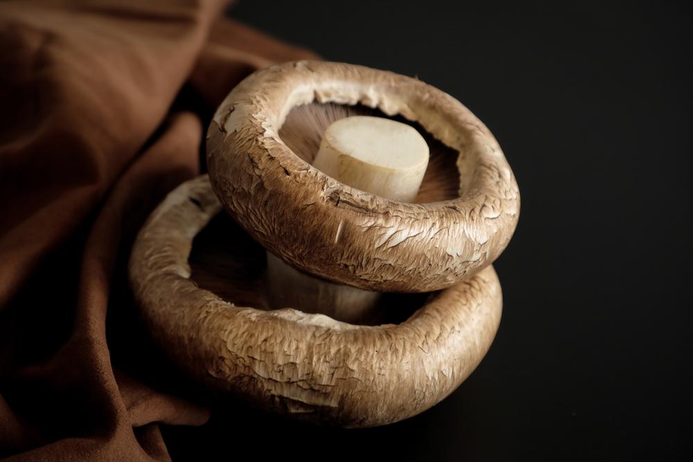 Виц: Съобразителността на домакина