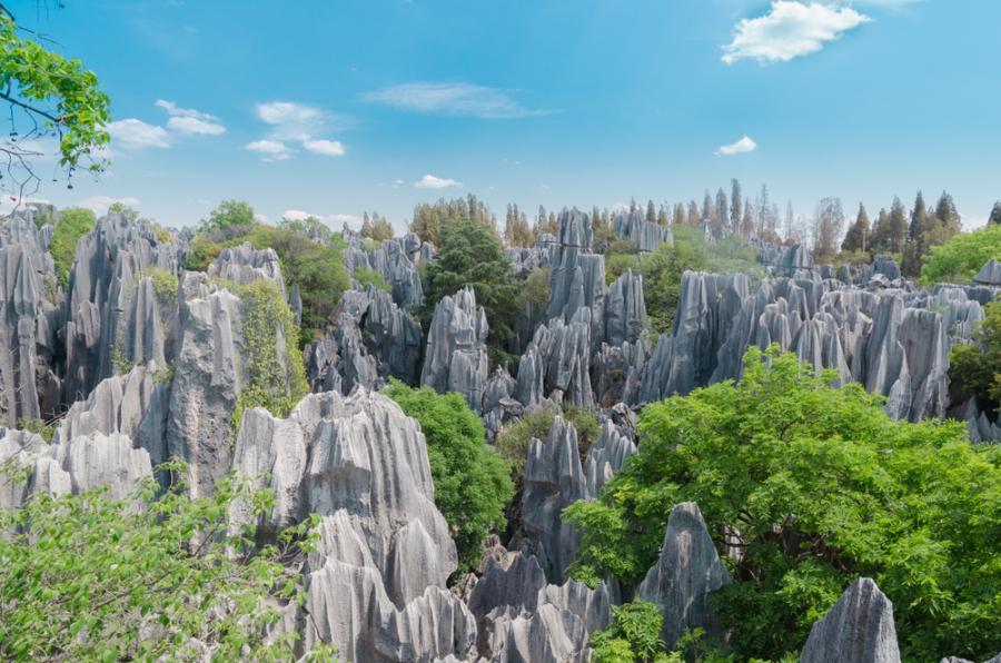 Каменната гора в Китай - 
