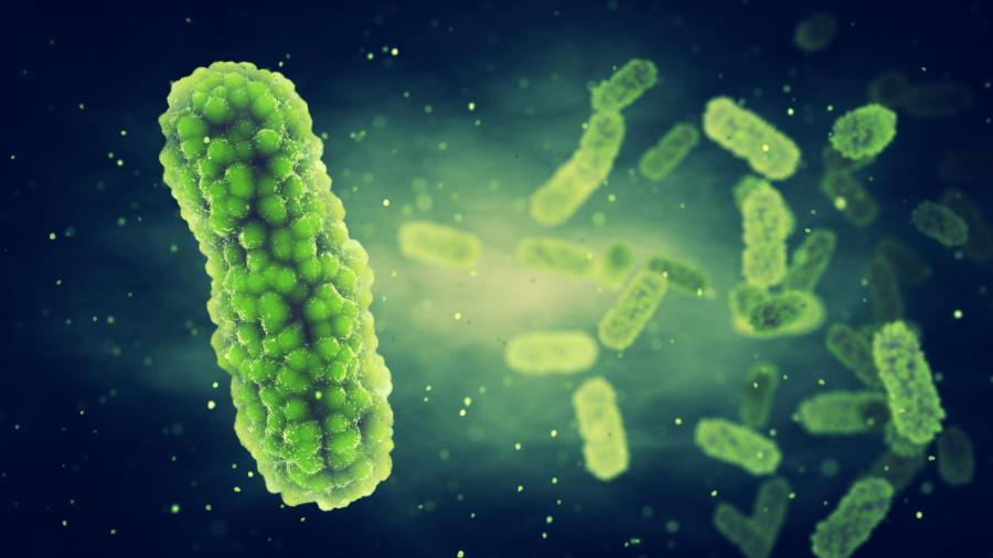Нов уред засича бактерии за 30 минути