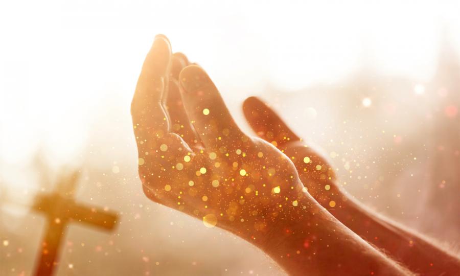 7-те вида чистота