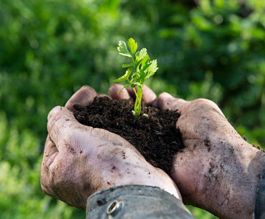 Как да живееш в здраве и радост – правилата на един 104-годишен мъдрец