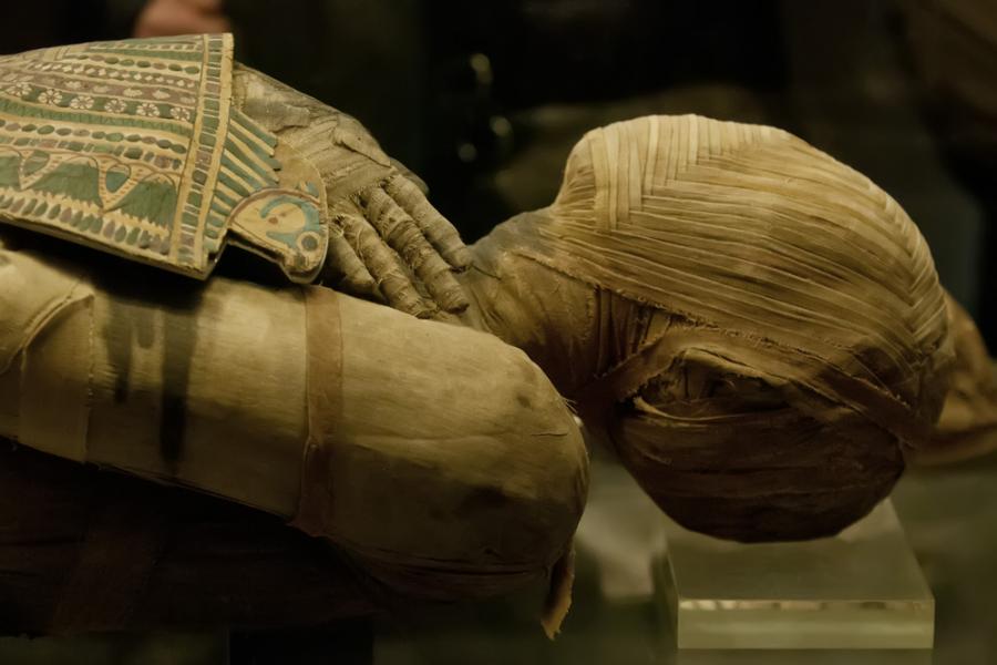 Нашествието на германските мумии