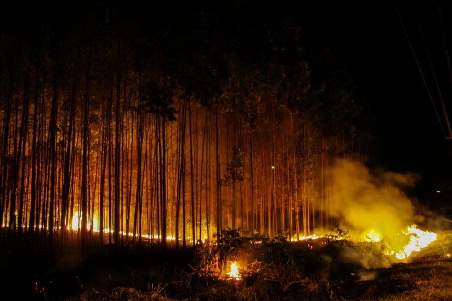 Пожарите в Амазония са увеличили топенето на ледниците на стотици километри разстояние