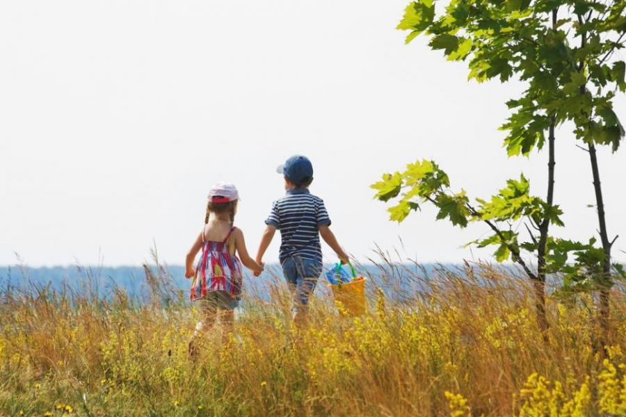 Симон Вейл за приятелството