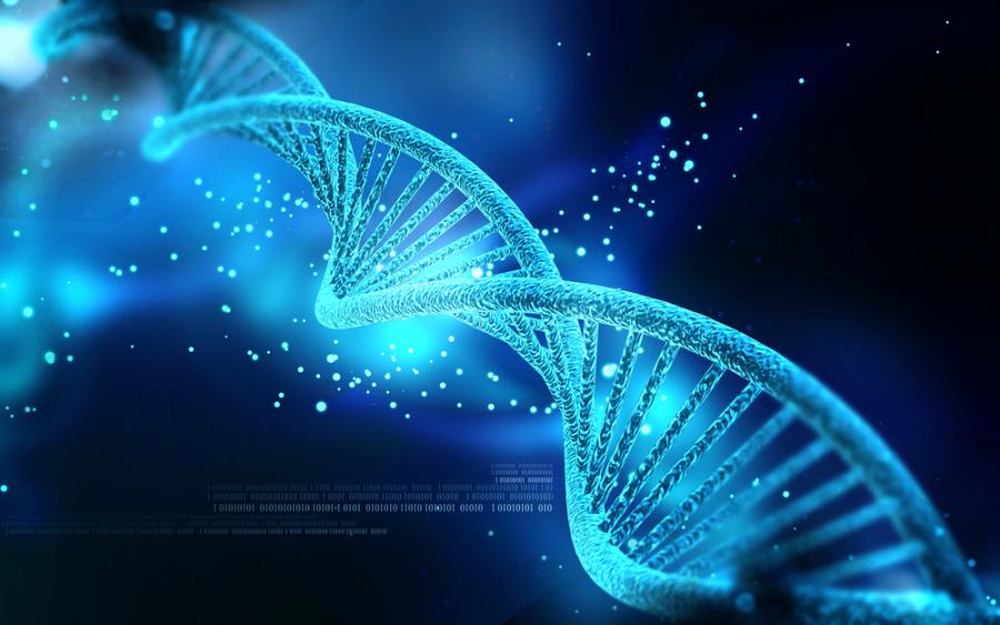 Видео: От ДНК до протеин