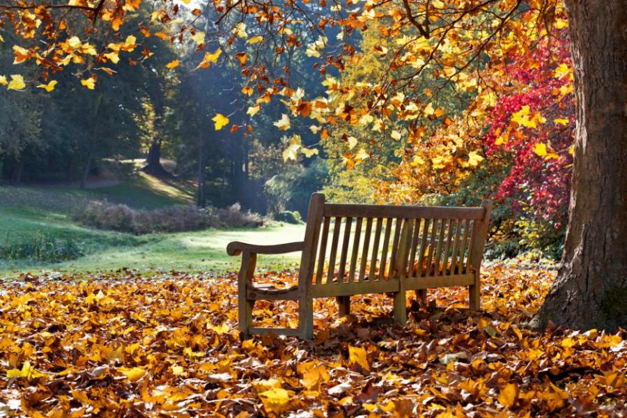 9 неща, които не знаехте за есента 
