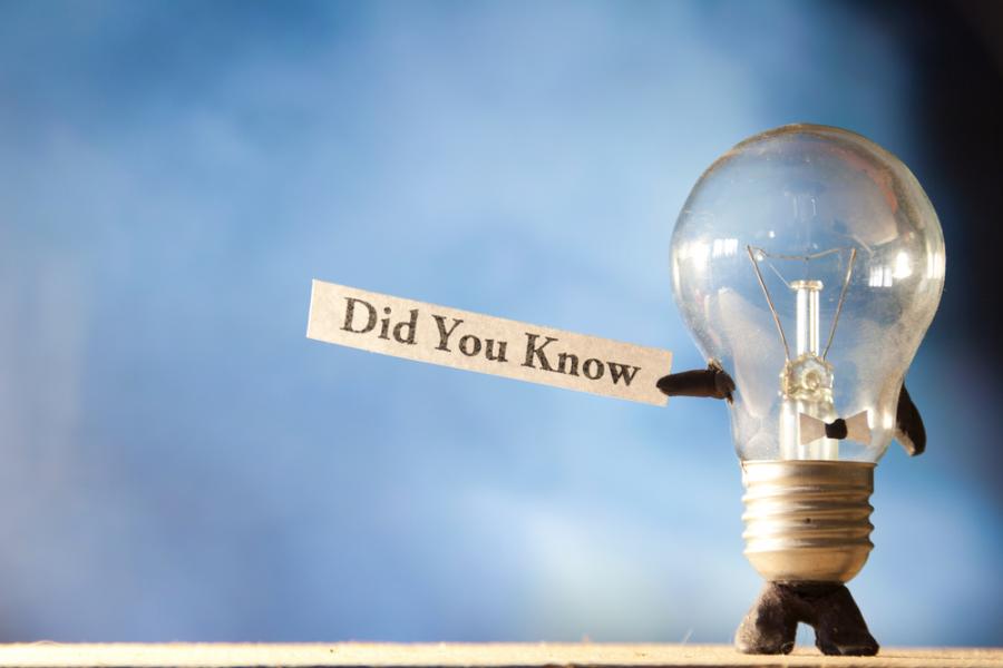 Още от най-забавните любопитни факти