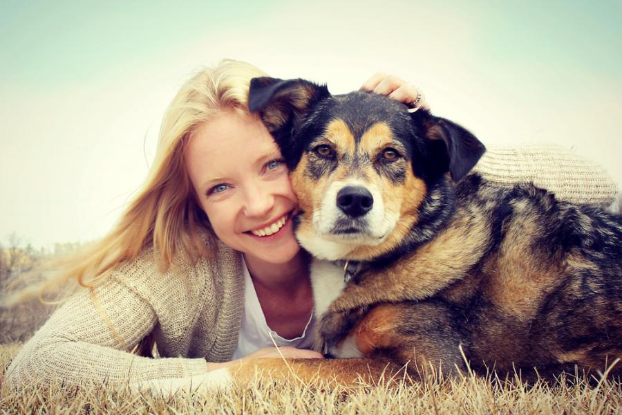 8 неща, които добрият и съвестен стопанин на куче не прави