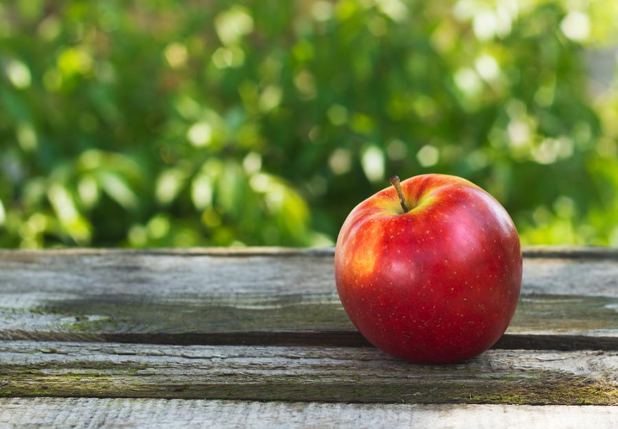 Притча: Светът е един, различен е погледът